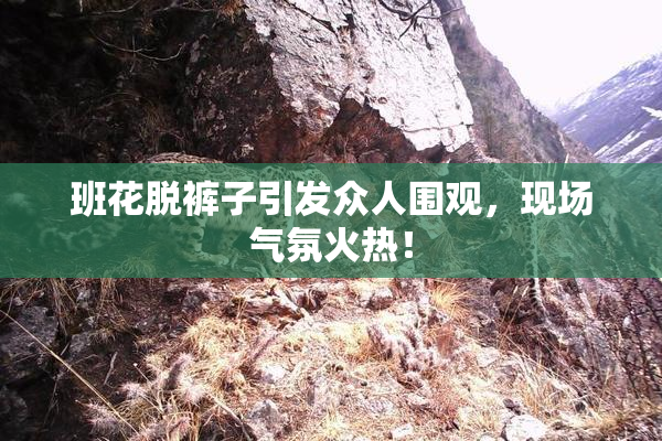 班花脱裤子引发众人围观，现场气氛火热！