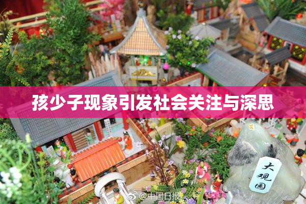 孩少子现象引发社会关注与深思