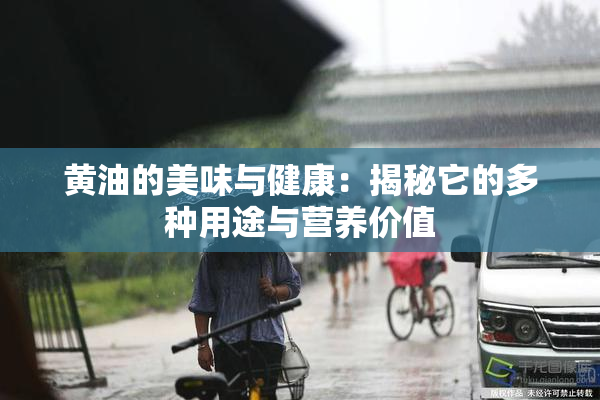 黄油的美味与健康：揭秘它的多种用途与营养价值