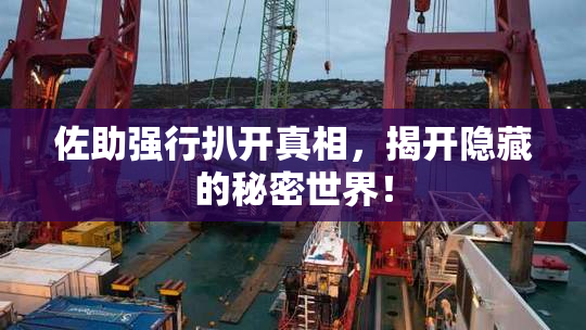 佐助强行扒开真相，揭开隐藏的秘密世界！