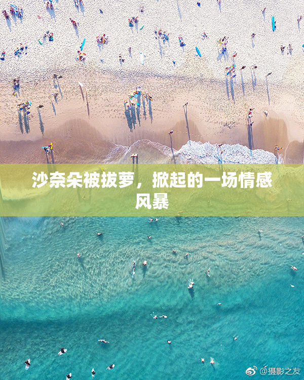 沙奈朵被拔萝，掀起的一场情感风暴