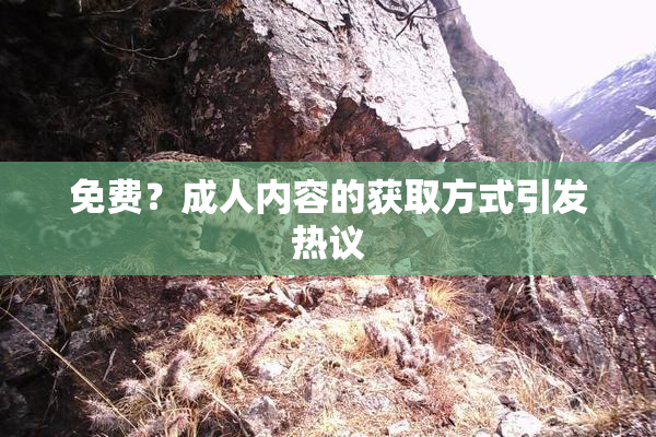 免费？成人内容的获取方式引发热议