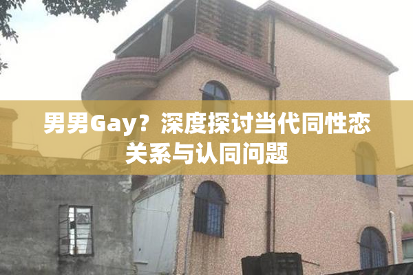 男男Gay？深度探讨当代同性恋关系与认同问题
