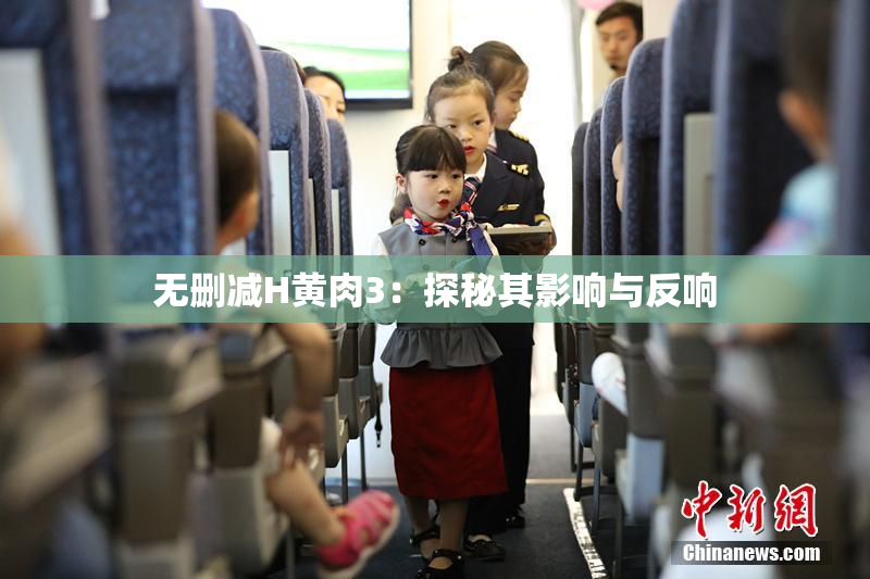 无删减H黄肉3：探秘其影响与反响
