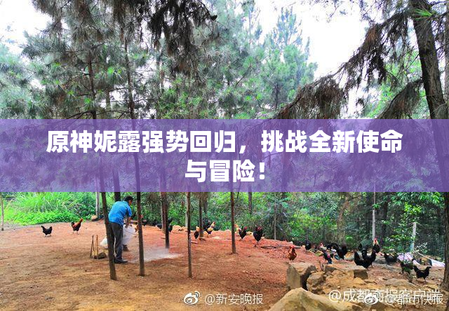 原神妮露强势回归，挑战全新使命与冒险！