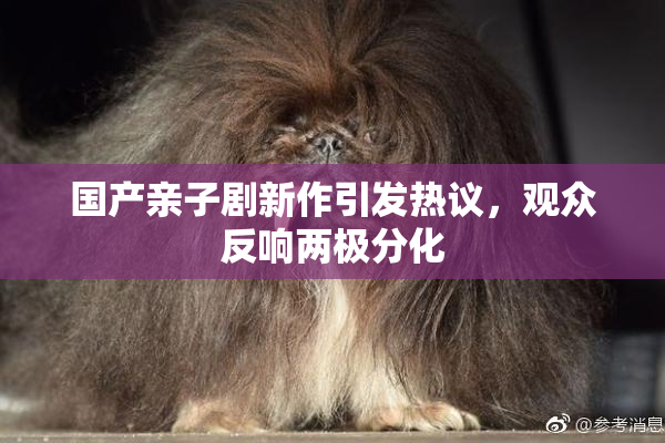 国产亲子剧新作引发热议，观众反响两极分化