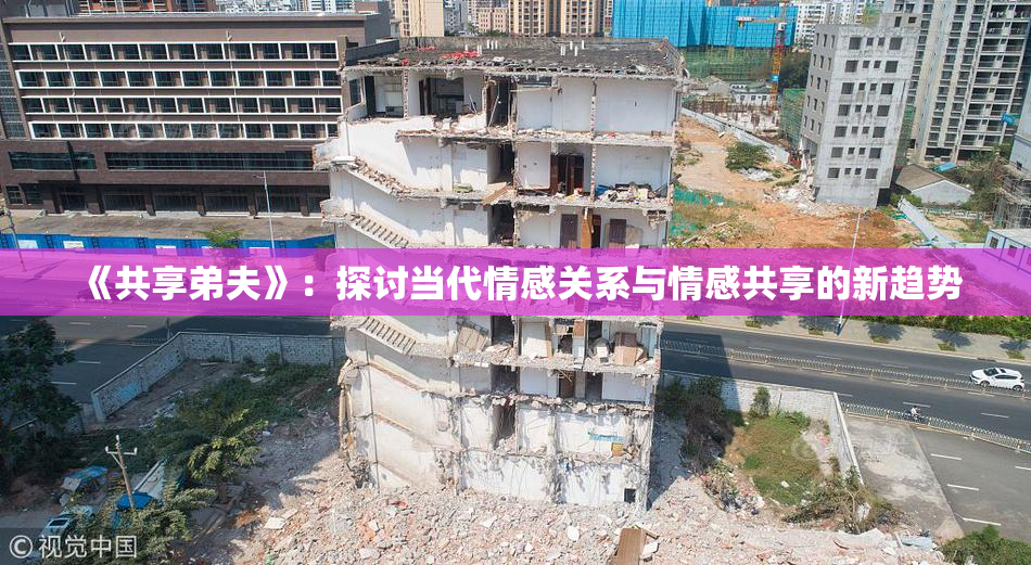 《共享弟夫》：探讨当代情感关系与情感共享的新趋势