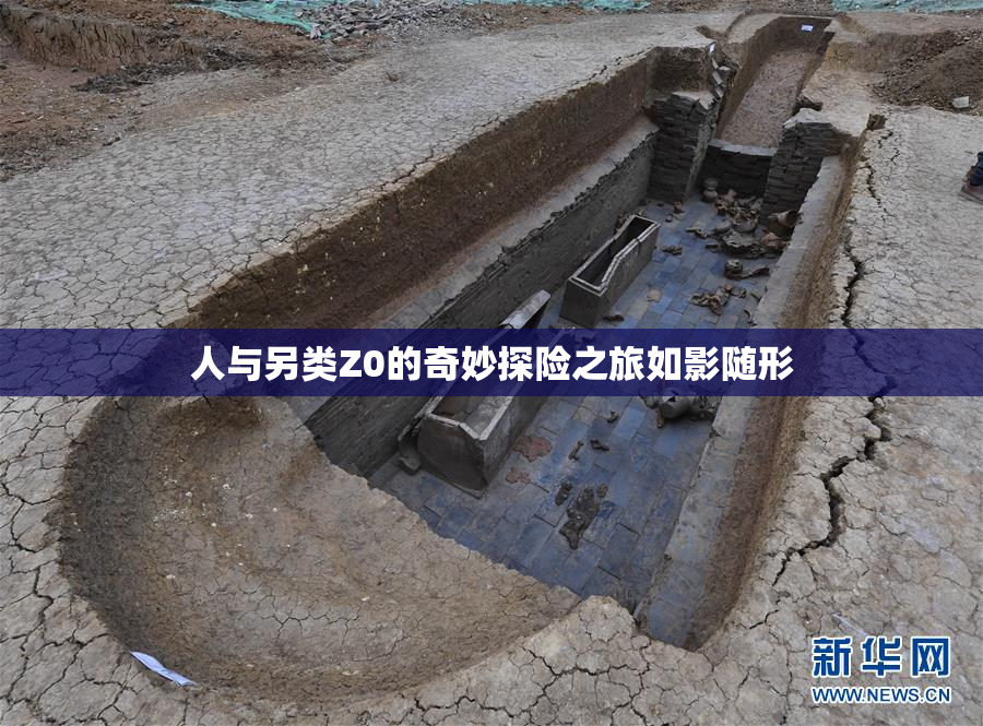 人与另类Z0的奇妙探险之旅如影随形