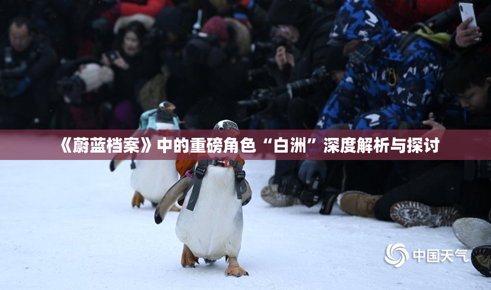 《蔚蓝档案》中的重磅角色“白洲”深度解析与探讨