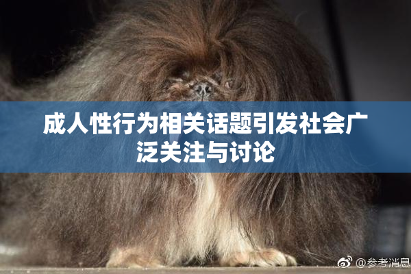 成人性行为相关话题引发社会广泛关注与讨论