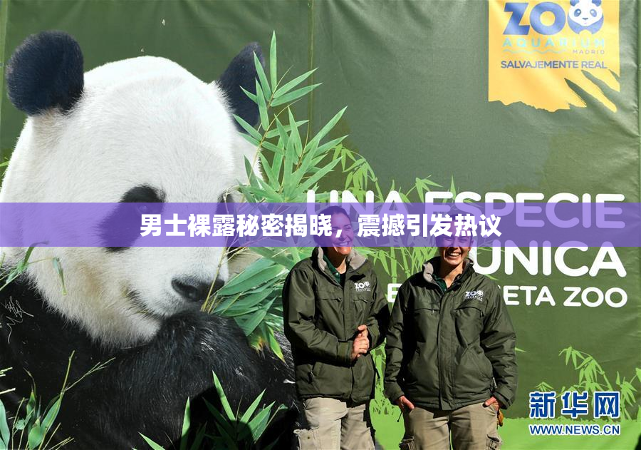 男士裸露秘密揭晓，震撼引发热议