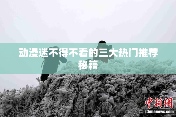 动漫迷不得不看的三大热门推荐秘籍