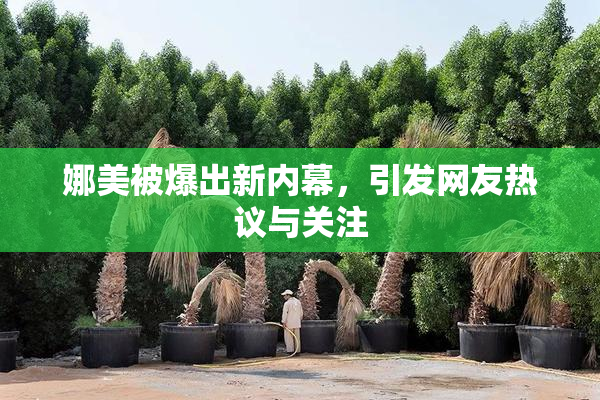 娜美被爆出新内幕，引发网友热议与关注