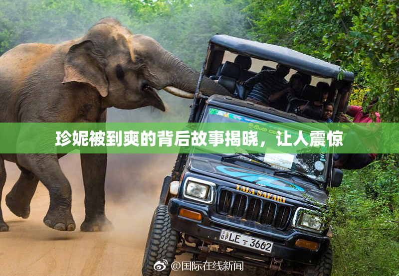 珍妮被到爽的背后故事揭晓，让人震惊
