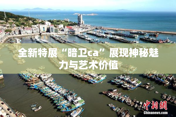 全新特展“暗卫ca”展现神秘魅力与艺术价值