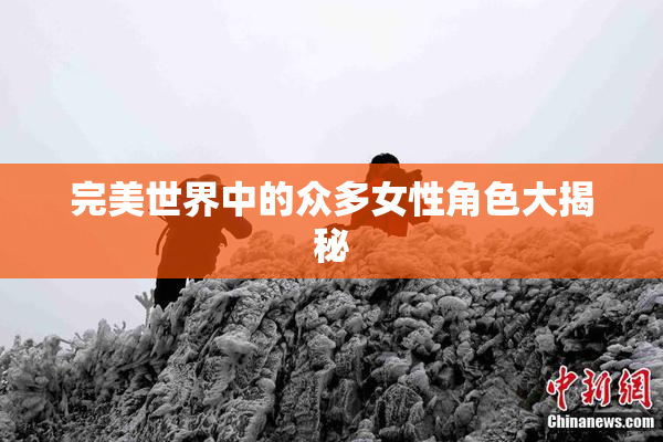 完美世界中的众多女性角色大揭秘