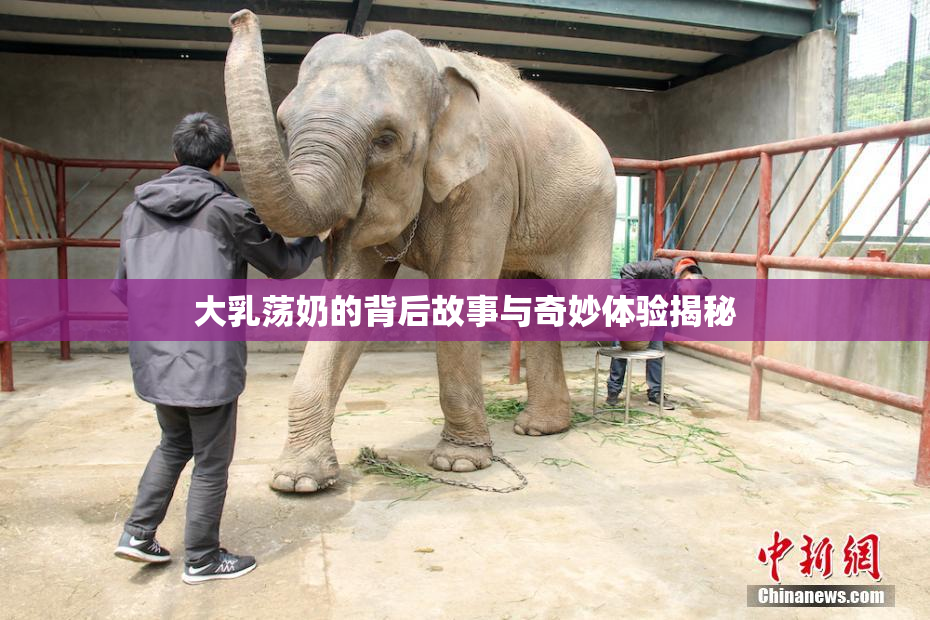 大乳荡奶的背后故事与奇妙体验揭秘