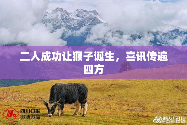 二人成功让猴子诞生，喜讯传遍四方