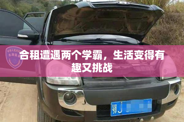 合租遭遇两个学霸，生活变得有趣又挑战