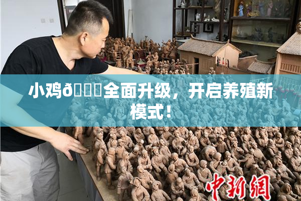 小鸡🐔全面升级，开启养殖新模式！