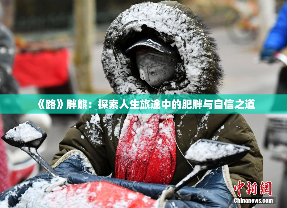 《路》胖熊：探索人生旅途中的肥胖与自信之道