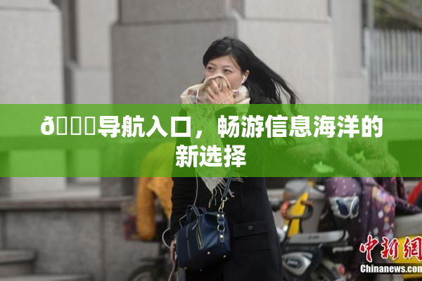 🍓导航入口，畅游信息海洋的新选择