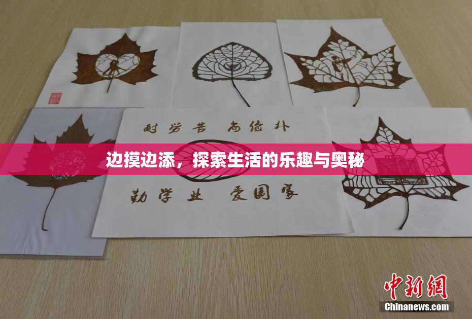 边摸边添，探索生活的乐趣与奥秘