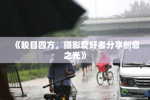 《睃目四方，摄影爱好者分享创意之光》