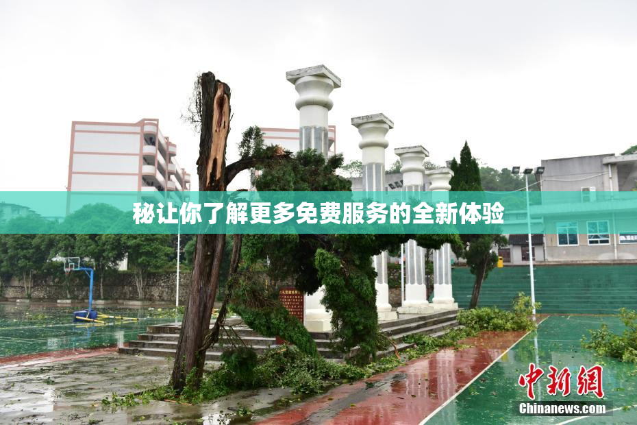 秘让你了解更多免费服务的全新体验