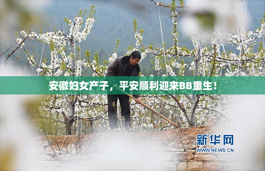 安徽妇女产子，平安顺利迎来BB重生！