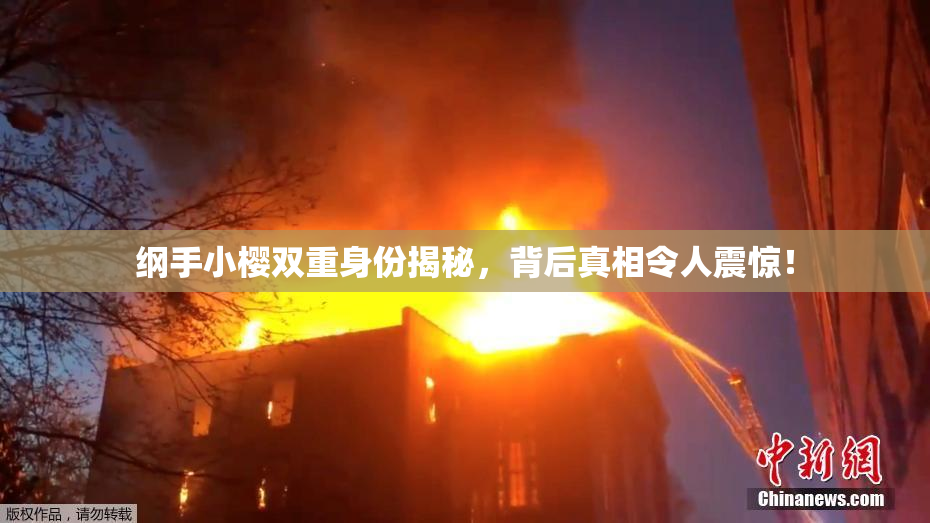纲手小樱双重身份揭秘，背后真相令人震惊！