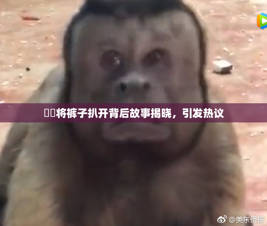 妺妺将裤子扒开背后故事揭晓，引发热议