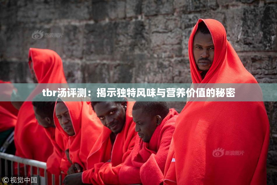 tbr汤评测：揭示独特风味与营养价值的秘密