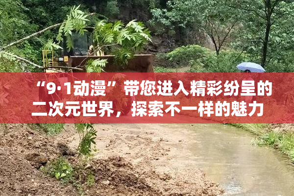 “9·1动漫”带您进入精彩纷呈的二次元世界，探索不一样的魅力