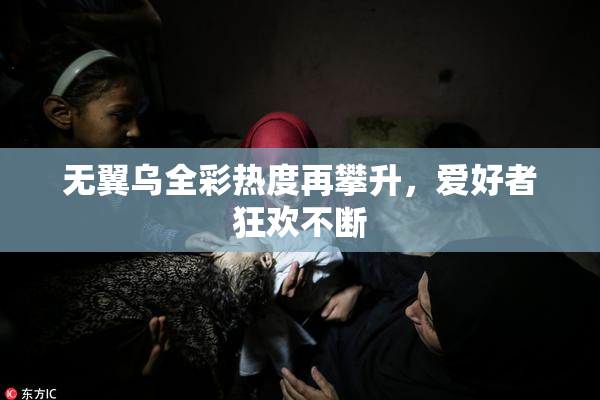 无翼乌全彩热度再攀升，爱好者狂欢不断
