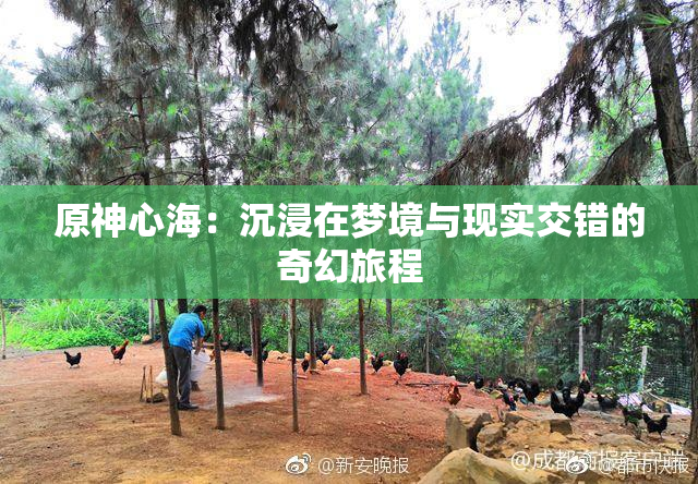原神心海：沉浸在梦境与现实交错的奇幻旅程