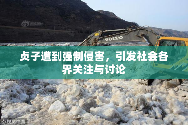 贞子遭到强制侵害，引发社会各界关注与讨论