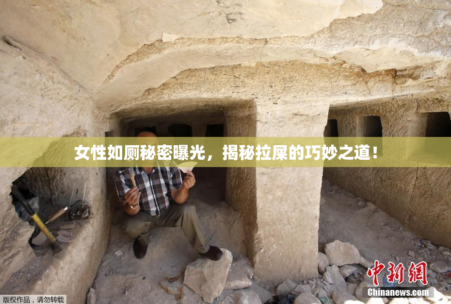 女性如厕秘密曝光，揭秘拉屎的巧妙之道！