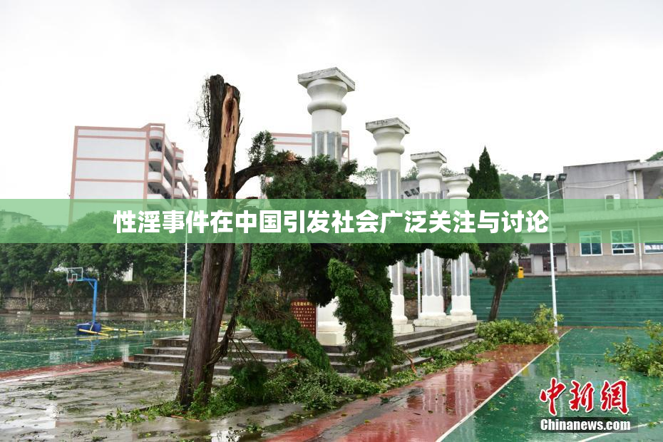 性淫事件在中国引发社会广泛关注与讨论