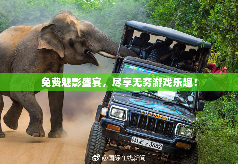 免费魅影盛宴，尽享无穷游戏乐趣！