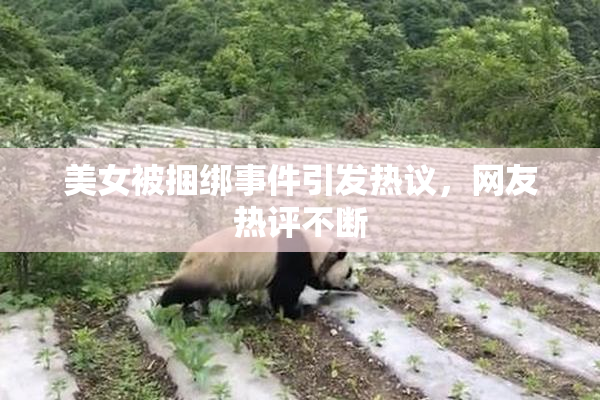 美女被捆绑事件引发热议，网友热评不断