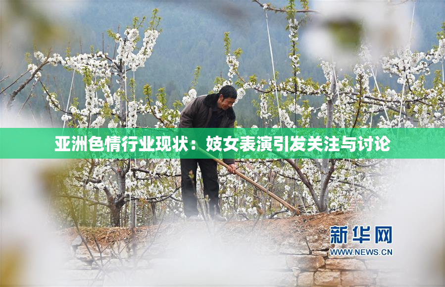 亚洲色情行业现状：妓女表演引发关注与讨论