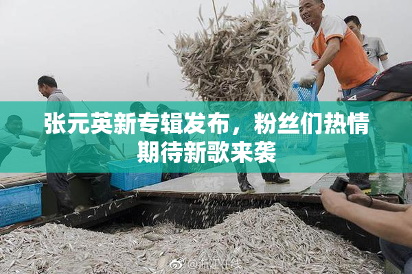 张元英新专辑发布，粉丝们热情期待新歌来袭