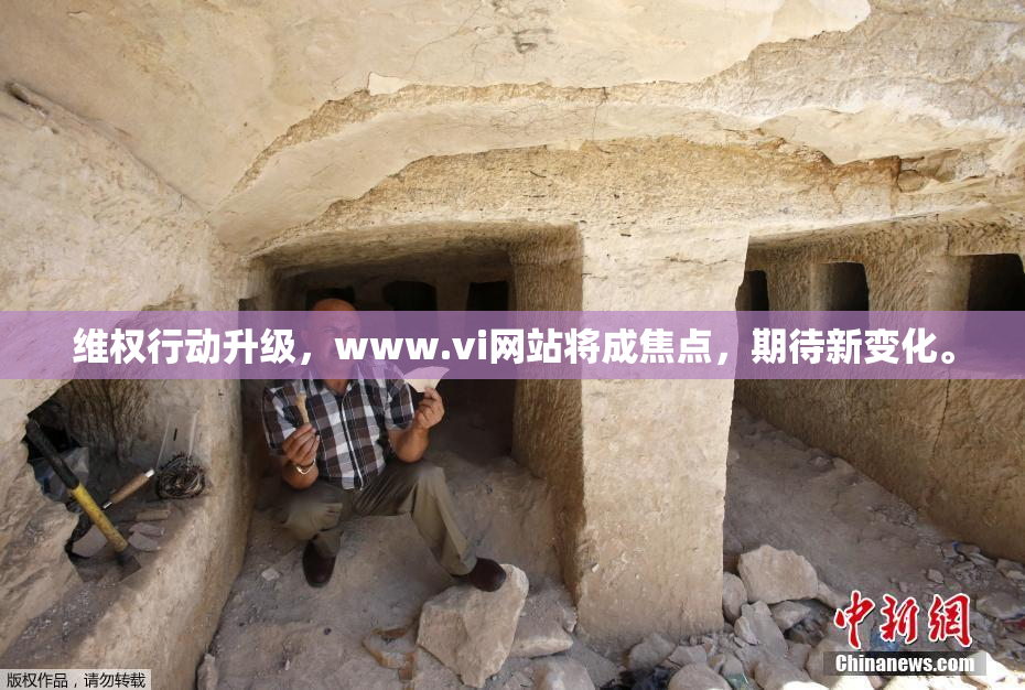 维权行动升级，www.vi网站将成焦点，期待新变化。