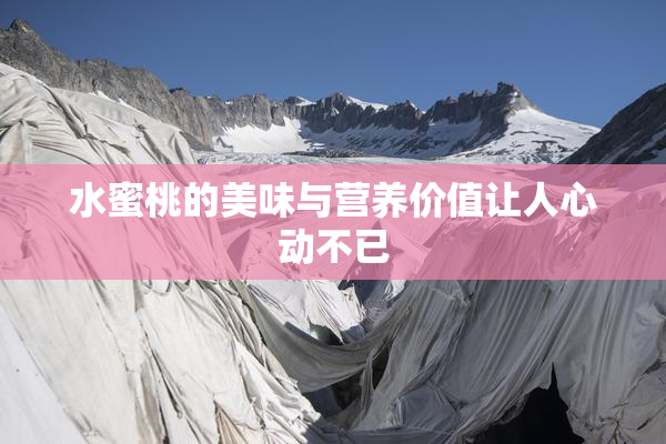 水蜜桃的美味与营养价值让人心动不已