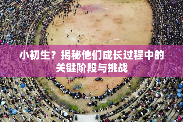 小初生？揭秘他们成长过程中的关键阶段与挑战