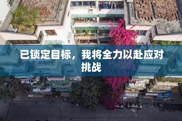 已锁定目标，我将全力以赴应对挑战