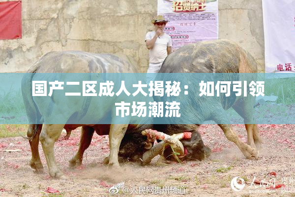 国产二区成人大揭秘：如何引领市场潮流