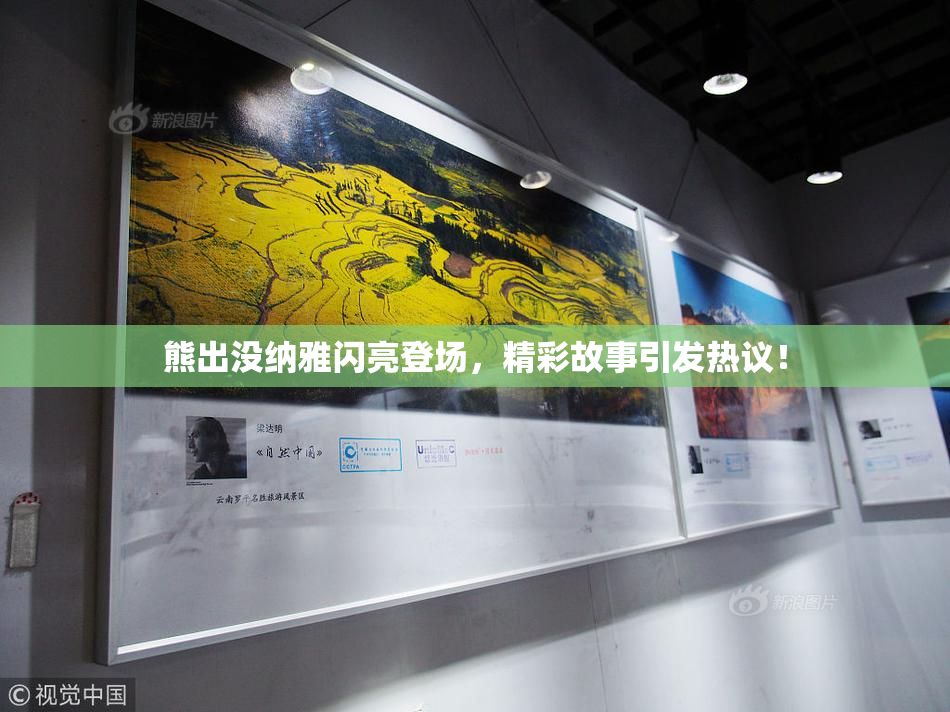 熊出没纳雅闪亮登场，精彩故事引发热议！