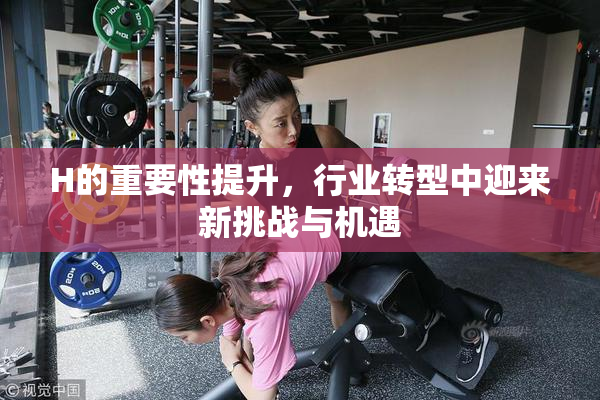 H的重要性提升，行业转型中迎来新挑战与机遇